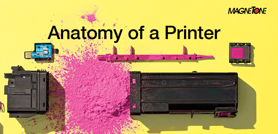 Anatomy of a laser printer